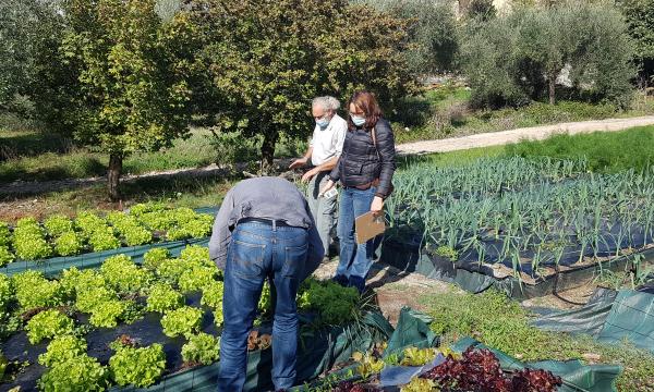 Il metodo Ortobioattivo visto da vicino: visite aziendali.