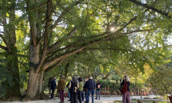 Incontro tematico in presenza: sfoglia la fotogallery