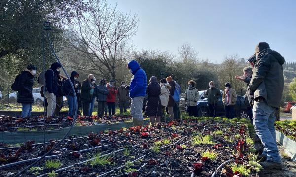 Il metodo Ortobioattivo visto da vicino: leggi il racconto della visita aziendale a Firenze.