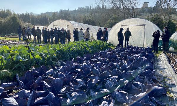 Protocollo Ortobioattivo: corso di formazione professionale.