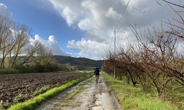 Il metodo Ortobioattivo visto da vicino: leggi il racconto della visita aziendale a Lastra a Signa